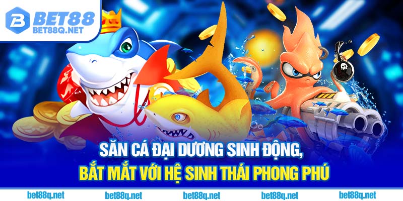 Săn cá đại dương sinh động, bắt mắt với hệ sinh thái phong phú