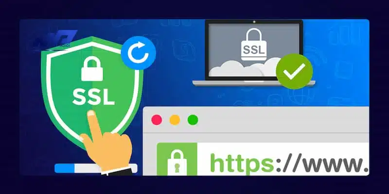 Vai trò chính sách quyền riêng tư BET88