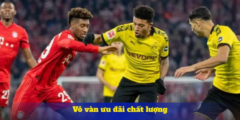 Vô vàn ưu đãi chất lượng